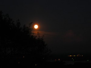 Blue Moon 1