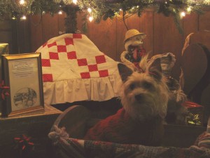 12295302_953984541349328_6616363408748619142_n