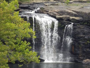 12417593_978886952192420_4405295581690776433_n