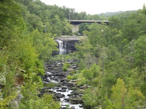 12509769_978889238858858_2604374868109675061_n