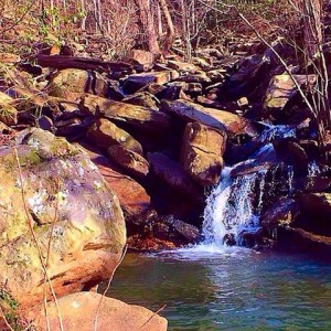 12715398_996701393744309_2279657369674393788_n