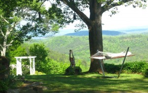 12512229_1016040465143735_6196477845425584759_n