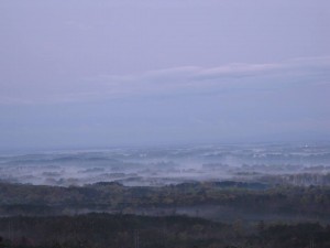 12512422_1017334468347668_3960556199766940178_n