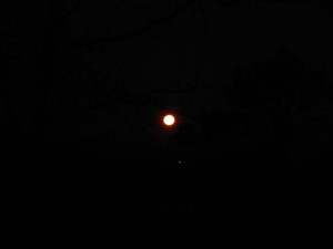 12821334_1015317931882655_9076953328146532272_n