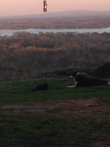 1506490_1010493839031731_6579070143355637963_n