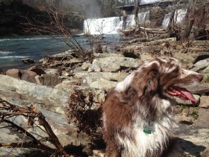 1923900_1010492745698507_2026934861183121255_n