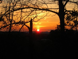 600380_1015317345216047_5595829346858355896_n